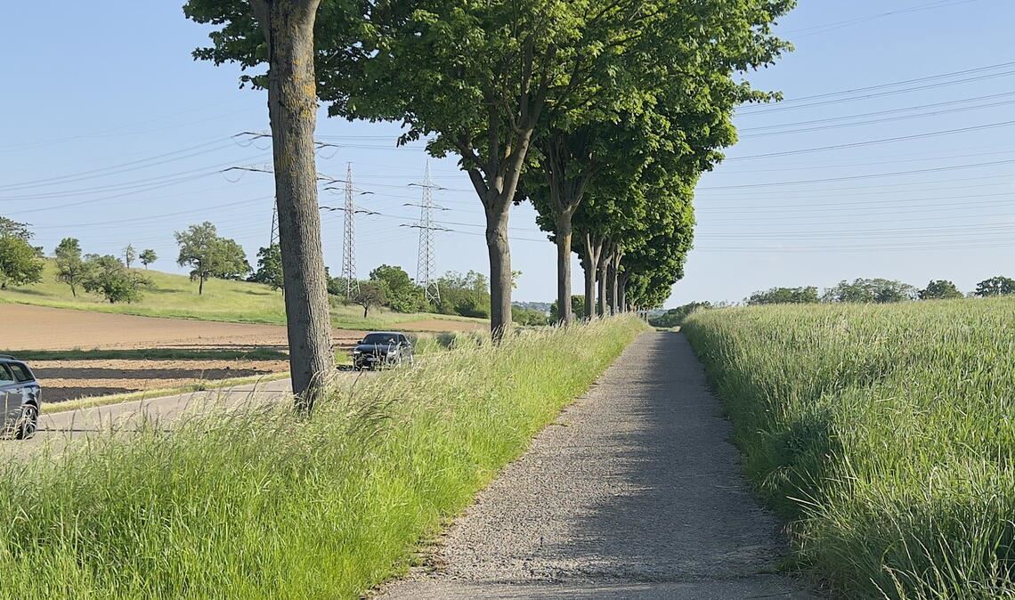 Der Fahrbahnbelag des Radwegs zwischen Ölbronn und Dürrn wird auf einer Länge von 310 Metern erneuert. Die bisherige Deckschicht weist Schäden auf. Foto: Helbig