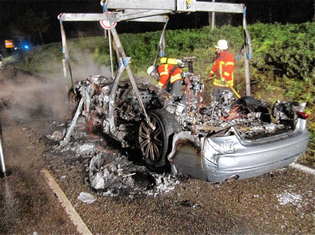 Der Fahrer kam mit dem Schrecken davon. Foto: Feuerwehr Ötisheim