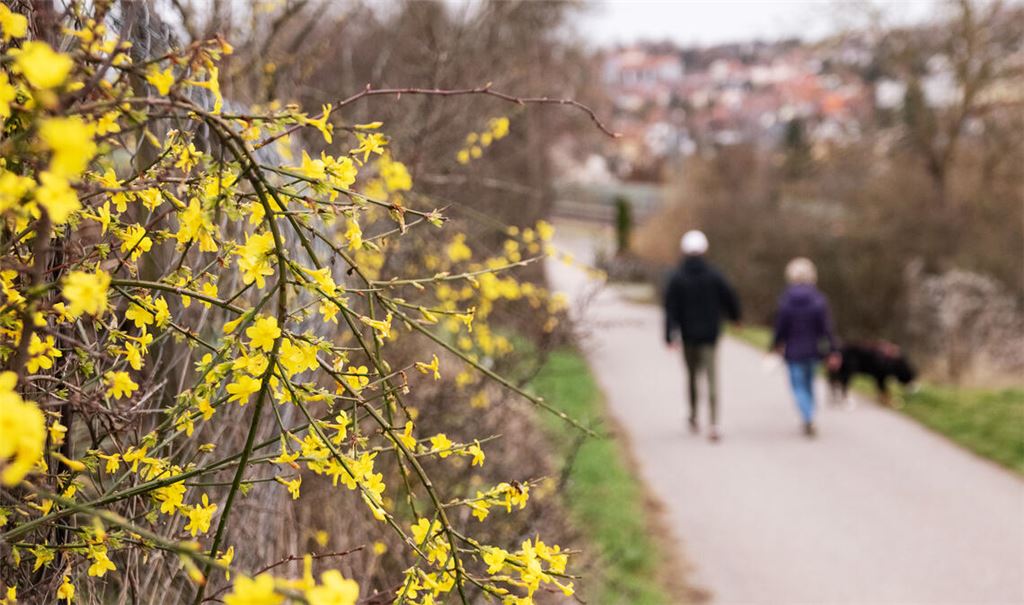 Der Februar 2024 fühlt sich zeitweise an wie der Frühling. Foto: Fotomoment