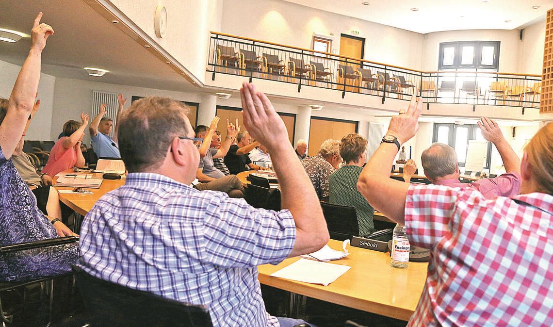 Der Fleiß mancher Gemeinderatsmitglieder ist für die Verwaltung in Mühlacker ein Problem. Sie kommt bei der Bearbeitung von Anträgen und Anfragen kaum hinterher. Symbolfoto: Archiv