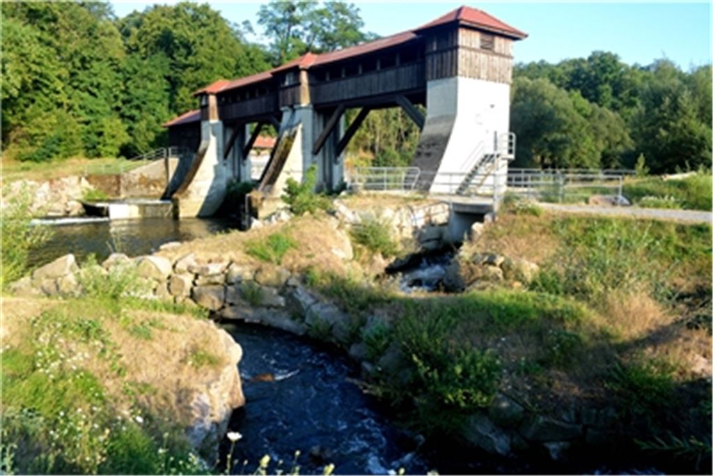 Der Flusslauf auf Gemarkung Mühlacker gilt als artenreiches Gewässer, wie eine Infotafel im Mühlhäuser Enztal beweist. Einen wichtigen Beitrag dazu leisten Fischaufstiegs- und -abstiegshilfen wie am Stauwehr der EnBW in Mühlhausen. Foto: Stahlfeld