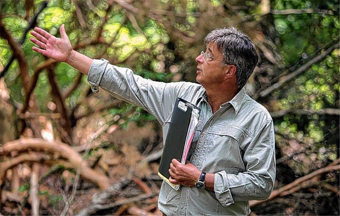 Im Forst steigt der Handlungsdruck