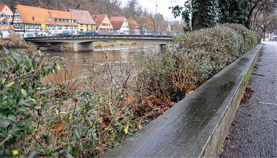 Der Freibord am Enz-Damm soll im Falle eines Jahrhunderthochwassers wie 1993 Wellen davon abhalten, über den Damm zu schwappen. An ein paar Stellen wünscht sich Bürgermeister Winfried Abicht eine Erweiterung dieses Zusatzschutzes. Foto: Disselhoff