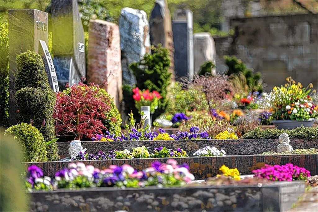 „Friedhof ist ein heißes Thema“