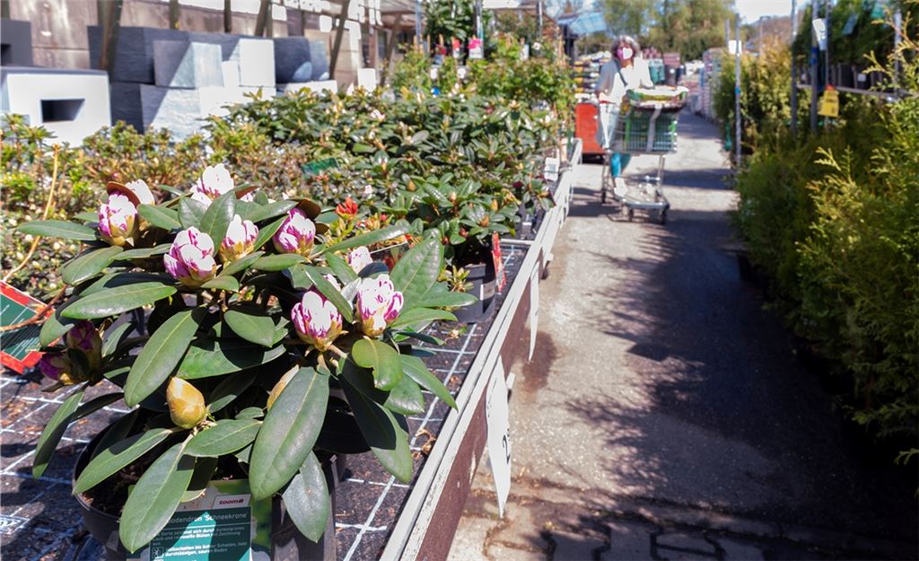 Der Gartenbereich des Mühlacker Toom-Markts hat wieder geöffnet. Doch dies gilt nicht für den Baumarkt unter demselben Dach. Foto: Fotomoment