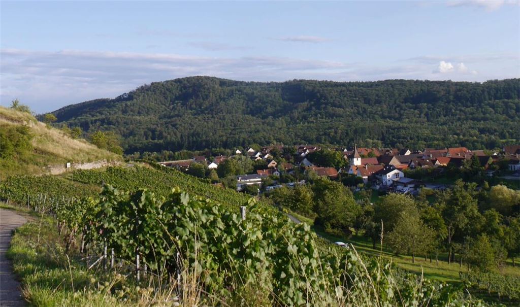 Der Geigersberg bei Ochsenbach. Fotos: Lechner