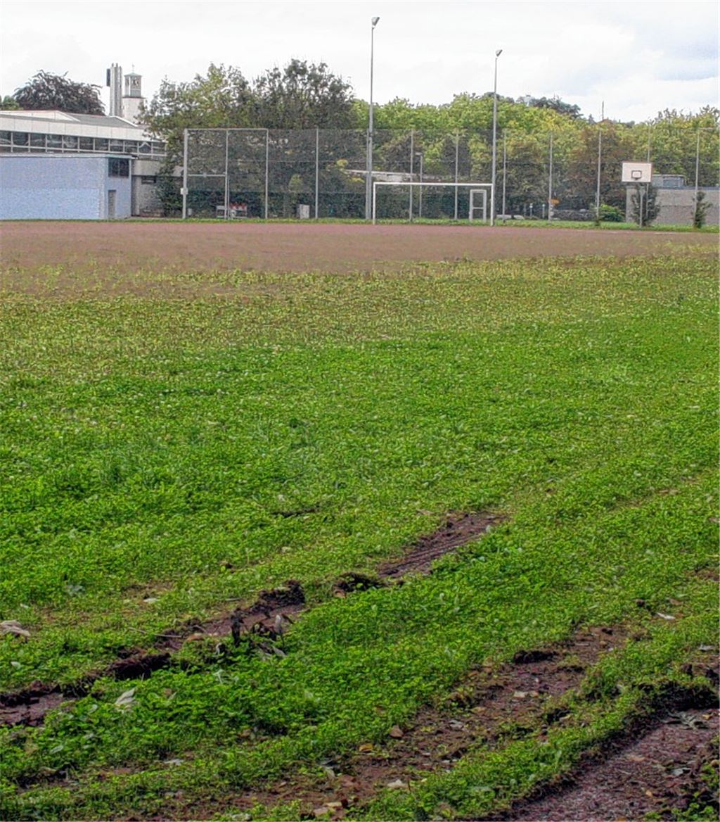 Der Grünbewuchs wurde inzwischen beseitigt, eine Sanierung hat der Hartplatz beim Mühlacker Hallenbad dennoch nötig. Archivfoto: Eigner