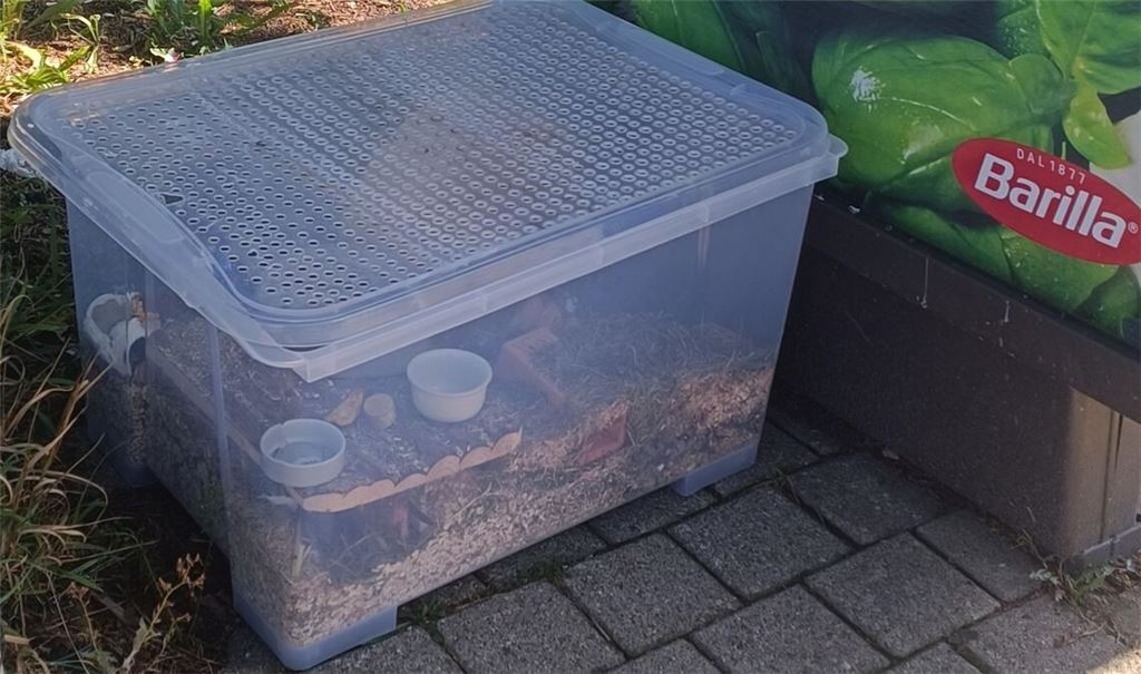 Der Hamster hatte offenbar mehrere Tage keinen Zugang zu Nahrung und Flüssigkeit.