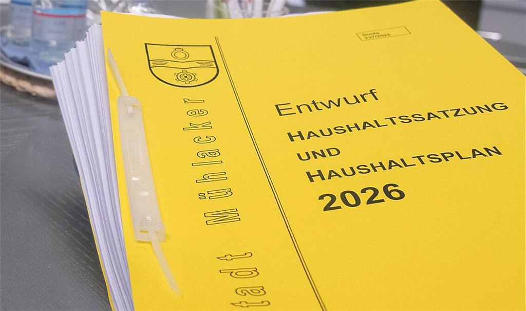 Der Haushalt der Stadt Mühlacker ist chronisch in Schieflage. Symbolfoto: Archiv