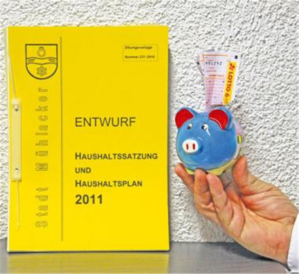 Der Haushaltsentwurf 2011 umfasst wichtige Projekte und hohe Ausgaben. Da käme ein Lottogewinn der Stadt Mühlacker doch gerade recht, um das kommunale Sparschwein zu füttern. Foto: Sadler