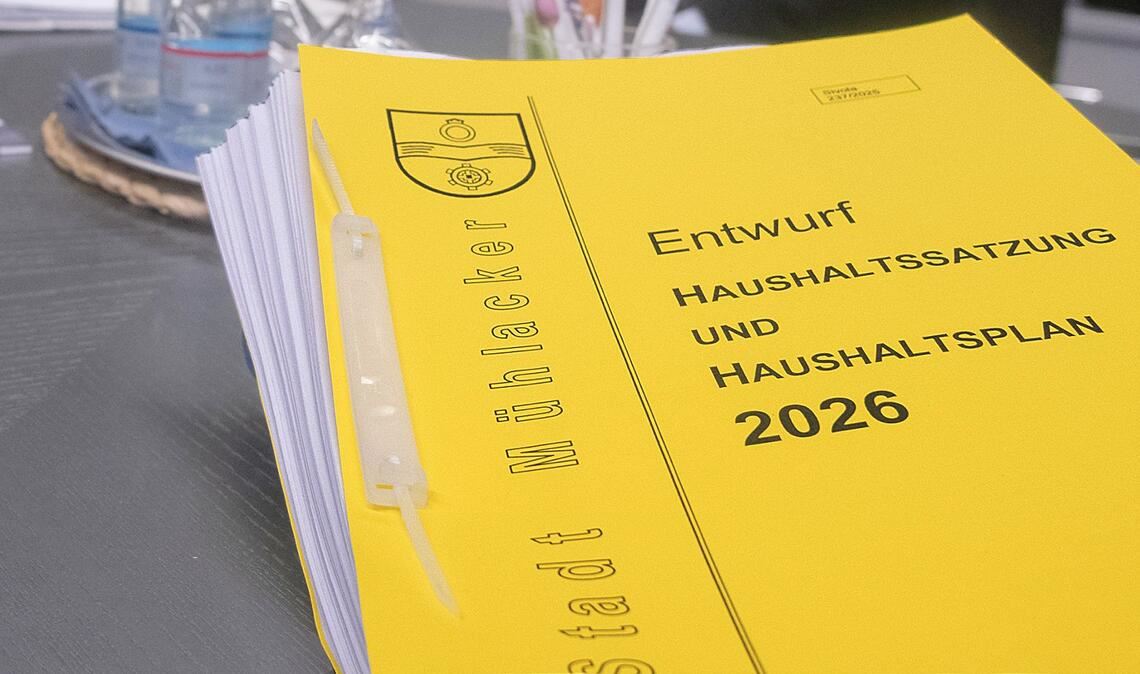 Der Haushaltsplan für die Stadt Mühlacker für das laufende Jahr steht für einen finanziellen Kraftakt und zeugt von der chronischen Finanzmisere, die nicht nur, aber auch die Senderstadt betrifft. Foto: Archiv