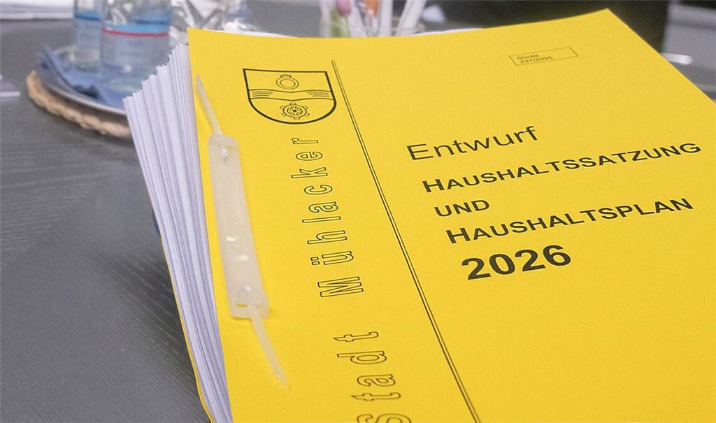 Der Haushaltsplan für die Stadt Mühlacker für das laufende Jahr steht für einen finanziellen Kraftakt und zeugt von der chronischen Finanzmisere, die nicht nur, aber auch die Senderstadt betrifft. Foto: Archiv