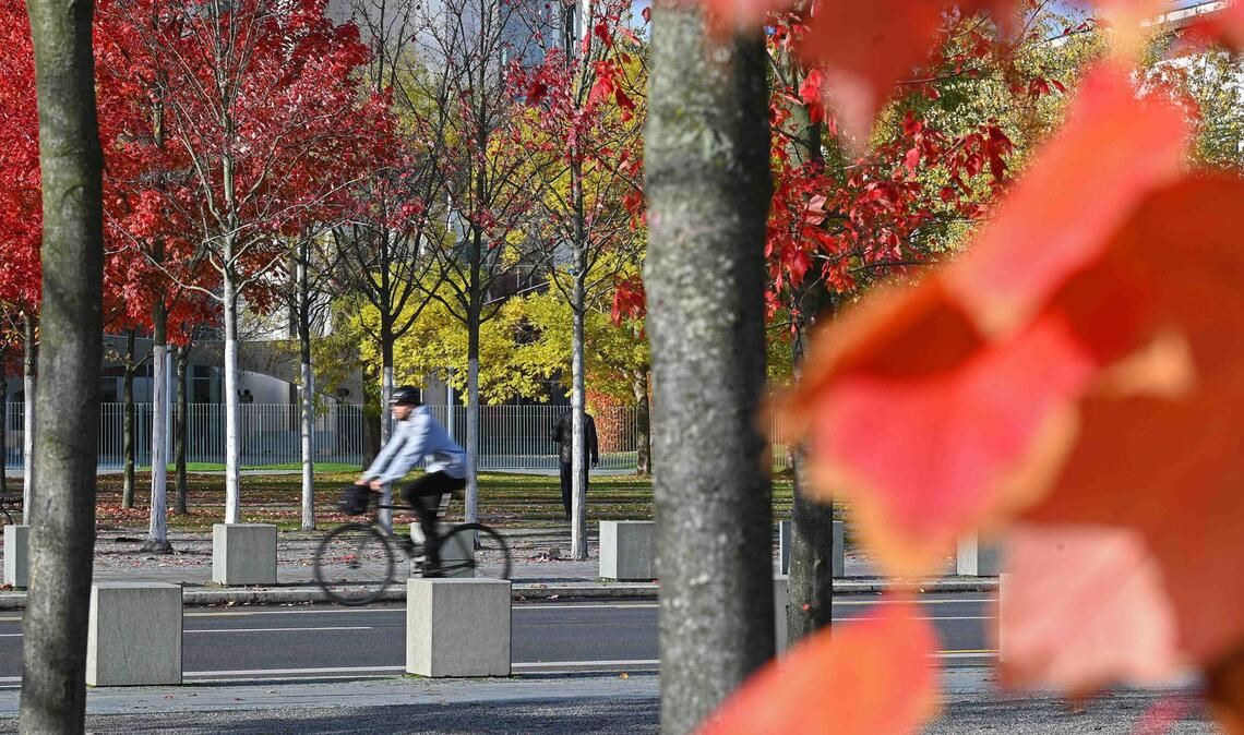 Der Herbst zeigt sich in Baden-Württemberg von seiner freundlichen Seite. (Symbolbild)