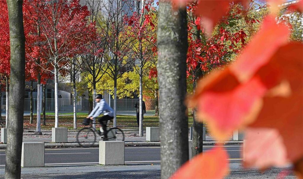Der Herbst zeigt sich in Baden-Württemberg von seiner freundlichen Seite. (Symbolbild)