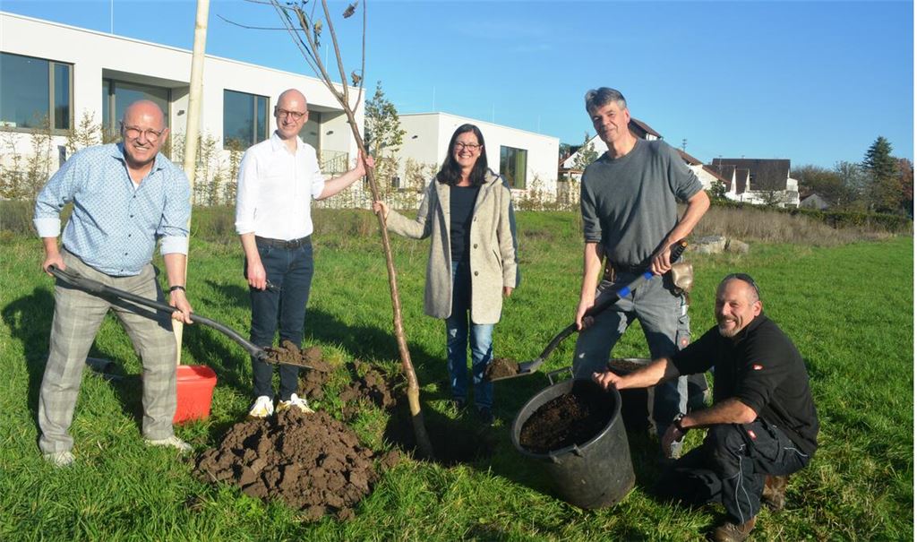 Der Hochstamm wächst im künftigen rund 2000 Quadratmeter großen Obst- und Gemüsegarten. Foto: Stahlfeld