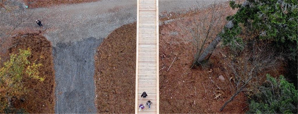 Der Höhepunkt des Baumwipfelpfads bietet tolle Ausblicke: Vom 40 Meter hohen Turm sieht man nicht nur Menschen und Bäume von oben, der Blick reicht an klaren Tagen bis in die Schweiz. 