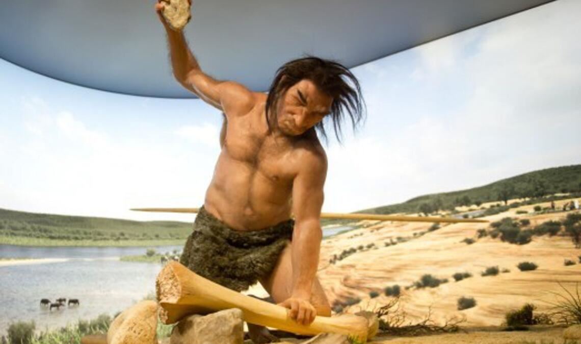 Der Homo heidelbergensis erlebte Warmzeiten, wie hier im Staatlichen Museum für Naturkunde Stuttgart dargestellt, aber auch kältere Phasen, in denen große Teile Europas vergletschert waren.
