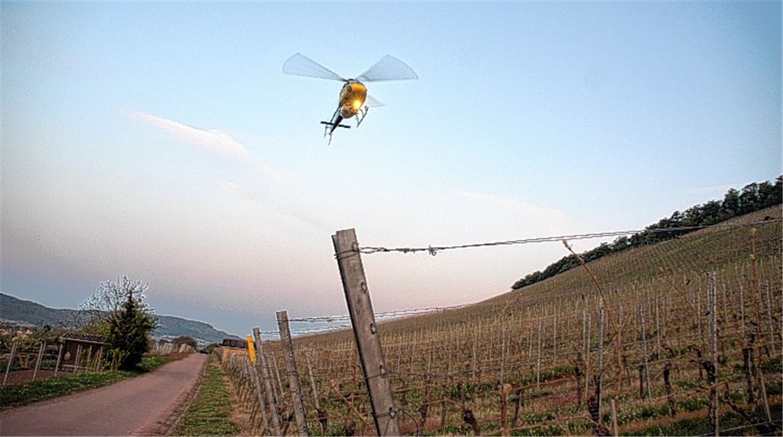 Der Hubschrauber als Wärme-Ventilator: Mit einer aufwendigen Methode verhindert das Weingut Sonnenhof in Gündelbach Frostschäden auf seinen Anbauflächen.