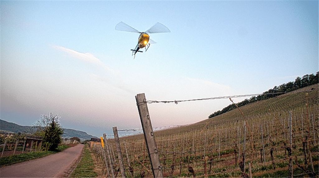 Der Hubschrauber als Wärme-Ventilator: Mit einer aufwendigen Methode verhindert das Weingut Sonnenhof in Gündelbach Frostschäden auf seinen Anbauflächen.