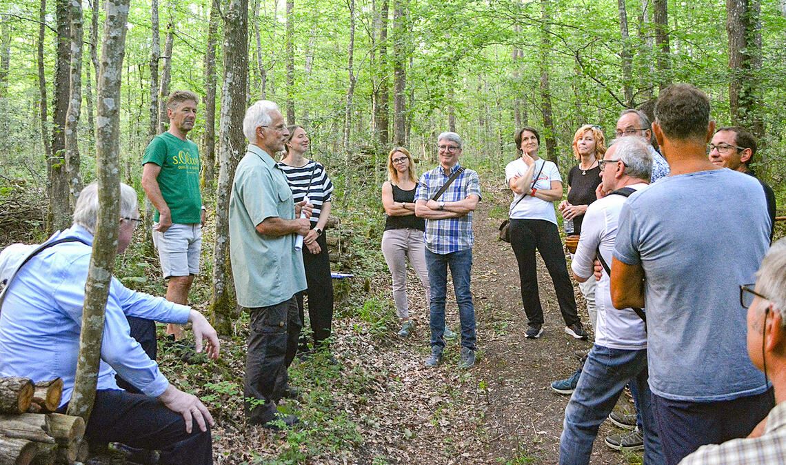 Der Illinger Gemeinderat macht sich bei einem Waldspaziergang ein Bild vom Zustand des heimischen Forstes – auch und gerade im Zeichen des Klimawandels. Fotos: Stahlfeld