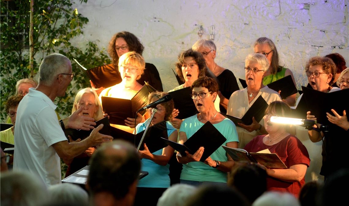 Der Illinger Kirchenchor und der Posaunenchor Illingen/Ötisheim sorgen für einen heiteren Musikabend. Fotos: Stahlfeld