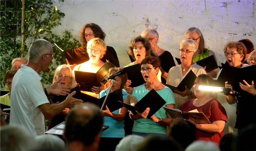 Der Illinger Kirchenchor und der Posaunenchor Illingen/Ötisheim sorgen für einen heiteren Musikabend. Fotos: Stahlfeld