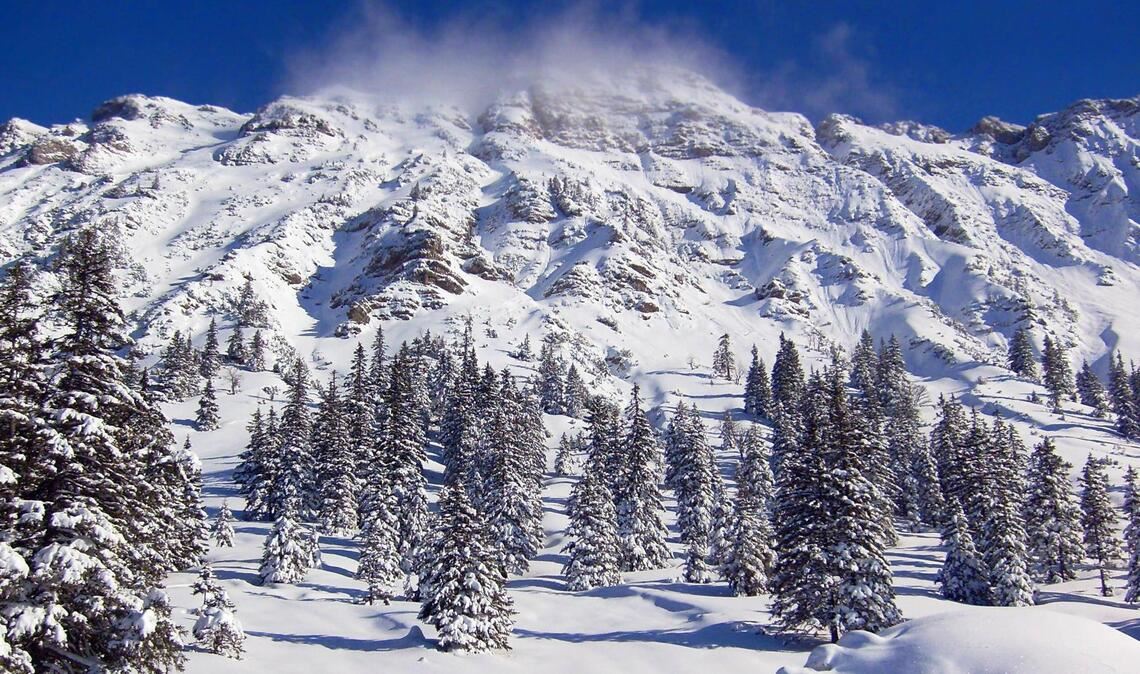 Der Iseler ist ein 1876 Meter hoher Nebengipfel des Kühgundkopfs in den Allgäuer Alpen.