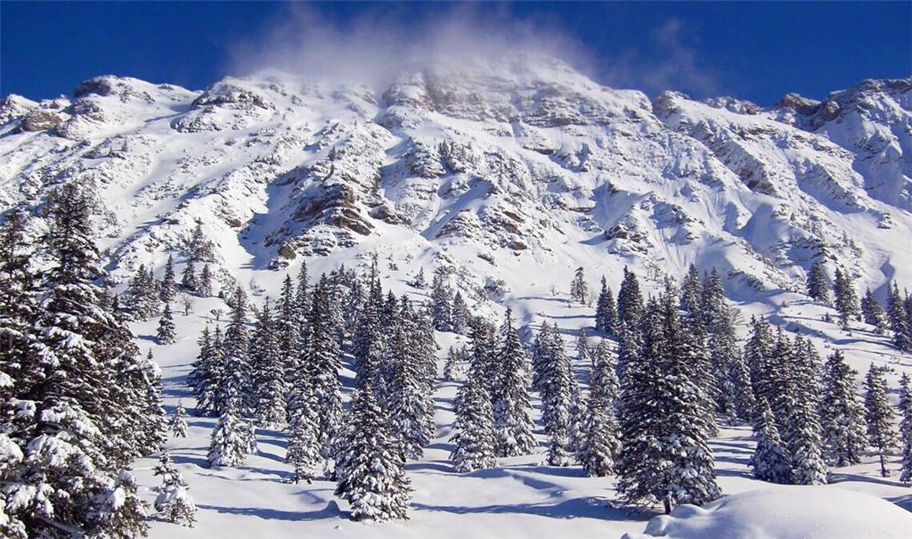 Der Iseler ist ein 1876 Meter hoher Nebengipfel des Kühgundkopfs in den Allgäuer Alpen.