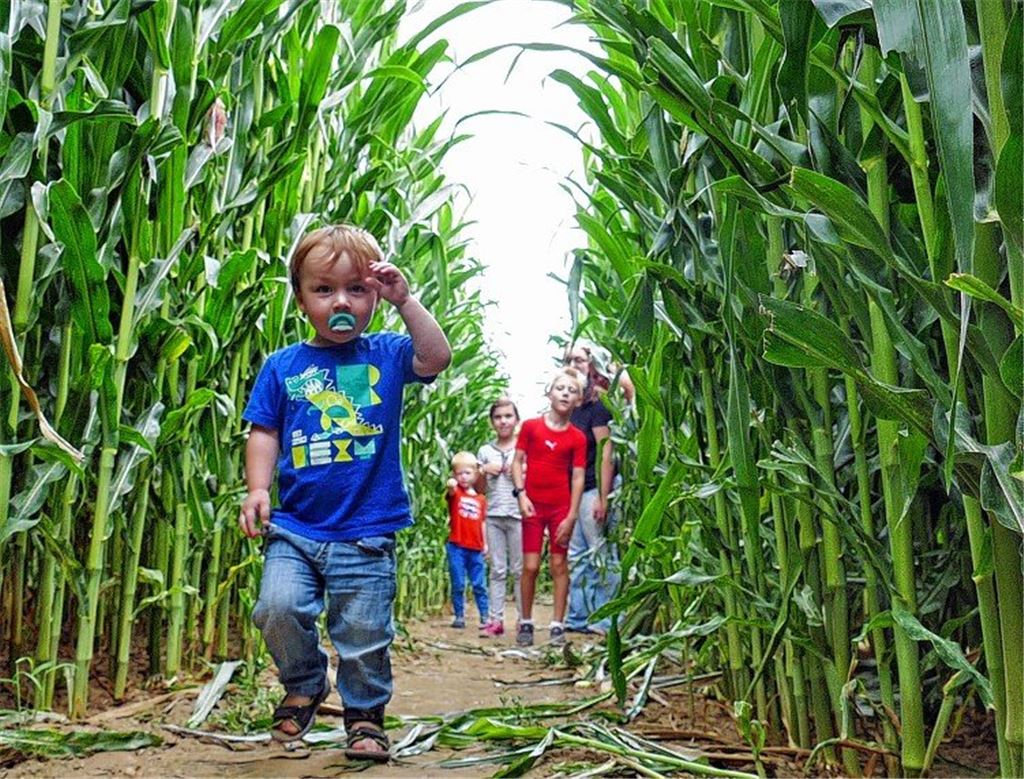 Ein Labyrinth, das in den Himmel wächst