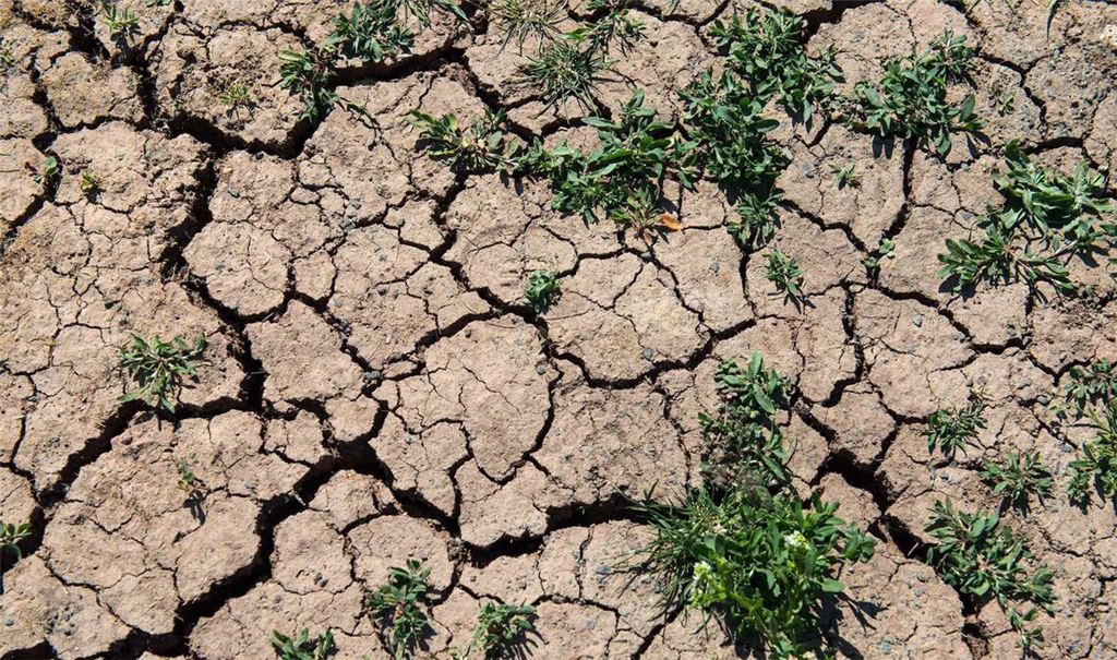 Der Klimawandel zeigt sich in Europa immer deutlicher (Symbolfoto).