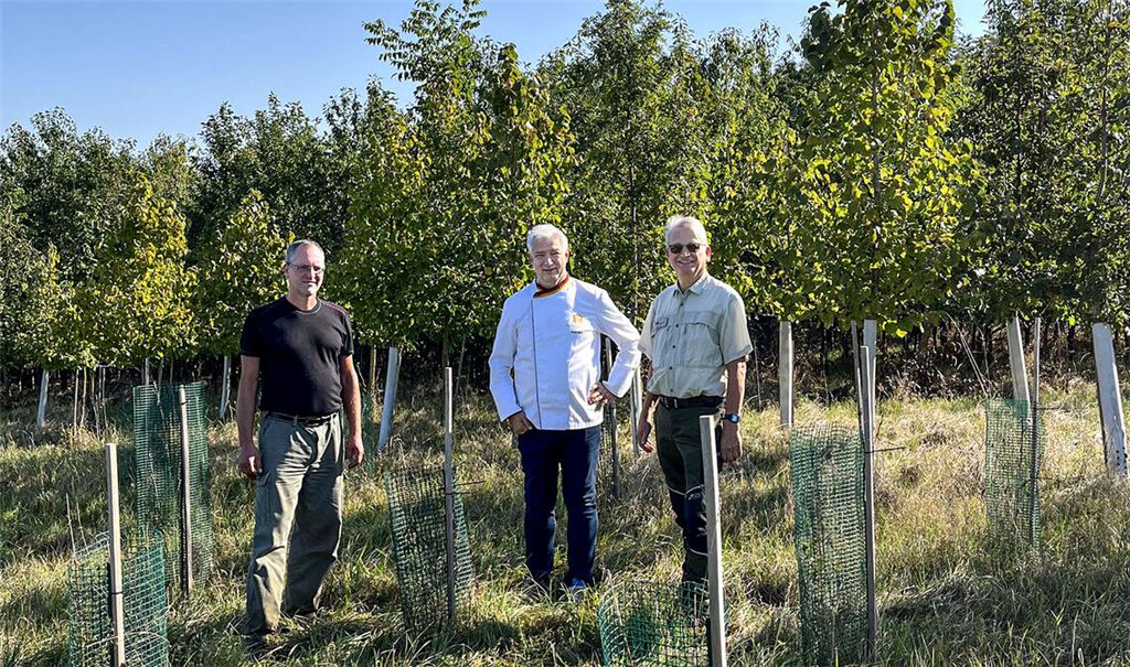 Der Knittlinger Bäckermeister Martin Reinhardt (Mitte) spendet zur Aufforstung 100 Bäume. Die Pflanzung übernehmen Revierförster Ulrich Klotz (re.) und Rico Zausch. Foto: privat