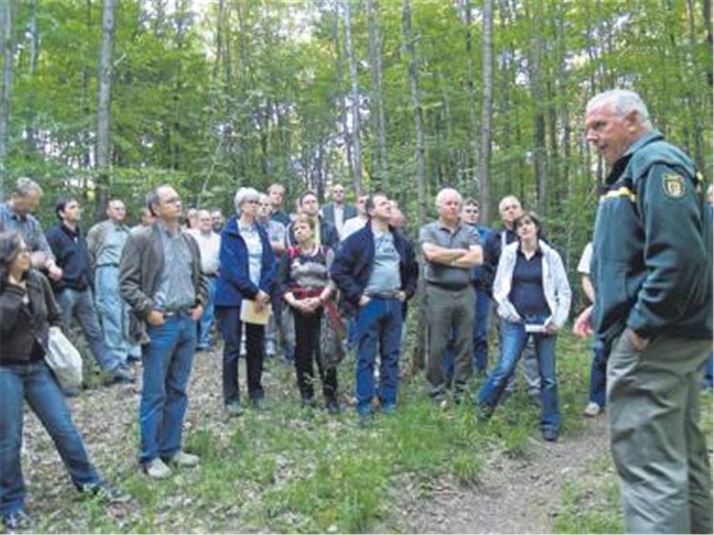 Der Knittlinger Stadtwald stehe überwiegend sehr gut da, eröffnet Fritz Geiger (re.) den Stadträten.
Foto: Filitz
