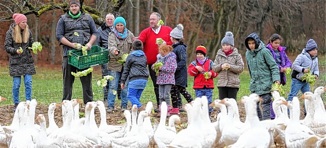 Bauernhof wird zum Klassenzimmer