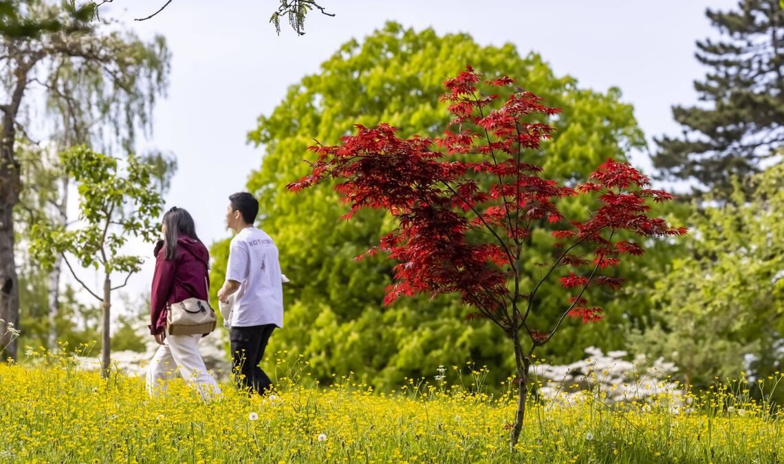 Der Lichtblick kommt ab Donnerstag (Symbolbild).