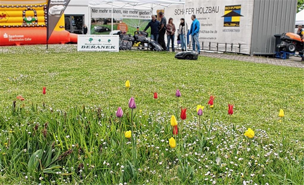 Der Mähroboter zieht selbstständig seine Kreise, doch was auf der Messe in Wiernsheim immer wieder betont wird: der Mensch vor Ort macht den Unterschied.