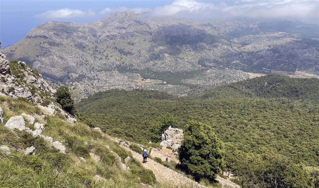 Der Mann stürzte bei einer Wanderung in den Tod. (Symbolbild)