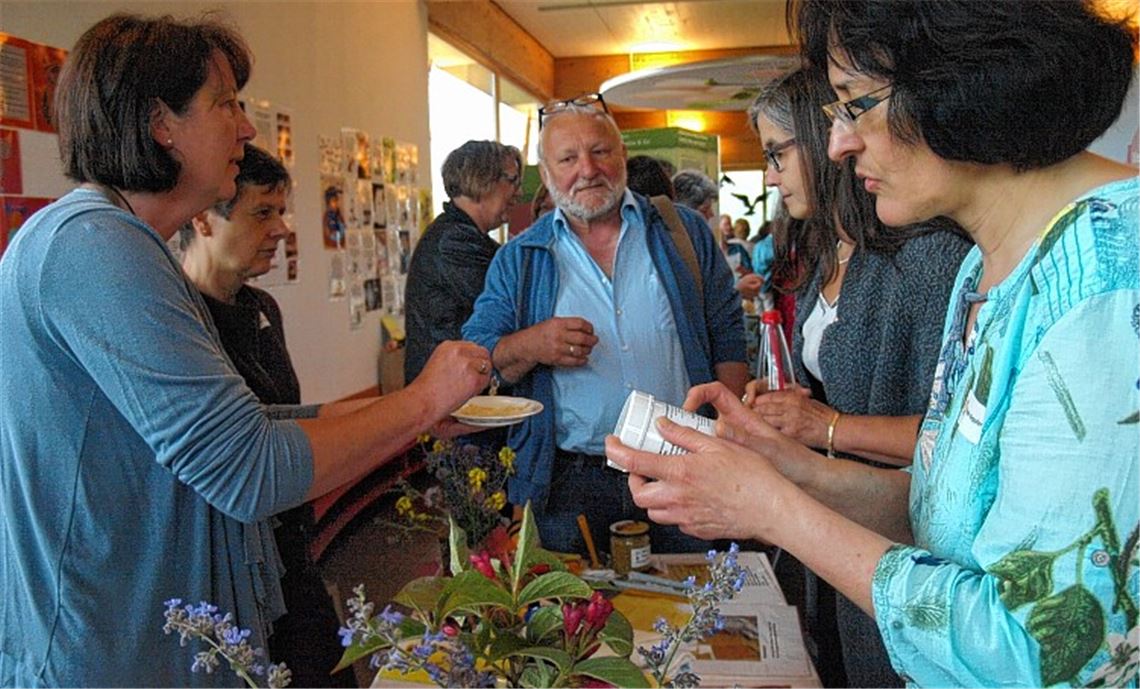 Bienen schaffen Perspektiven