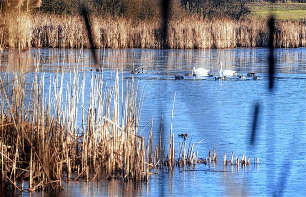 „Mönche waren kluge Wassermeister“