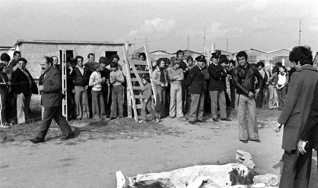Der Mord an dem Regisseur Pier Paolo Pasolini beschäftigt Italien auch noch nach 50 Jahren. (Archivbild)