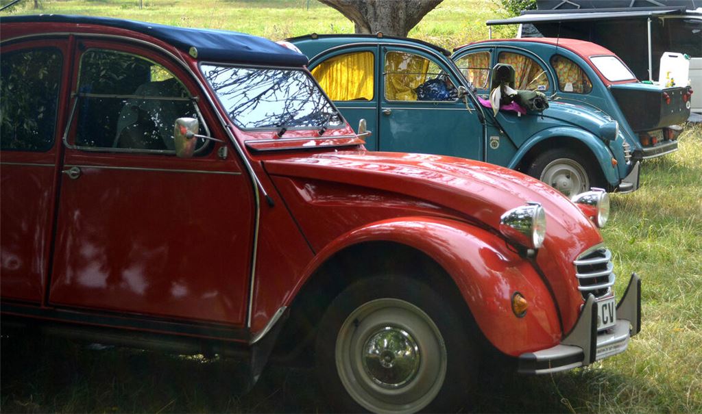 Der Mühlacker Festplatz ist über Pfingsten wieder ein Mekka für Enten-Fahrer, die zum Teil sehr weitere Anreisen in Kauf nehmen, um dabei zu sein. Fotos: Stahlfeld