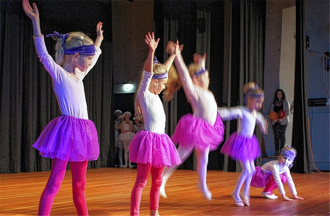 Der Nachwuchs des SV Diefenbach stellt sich vor. Foto: Huber