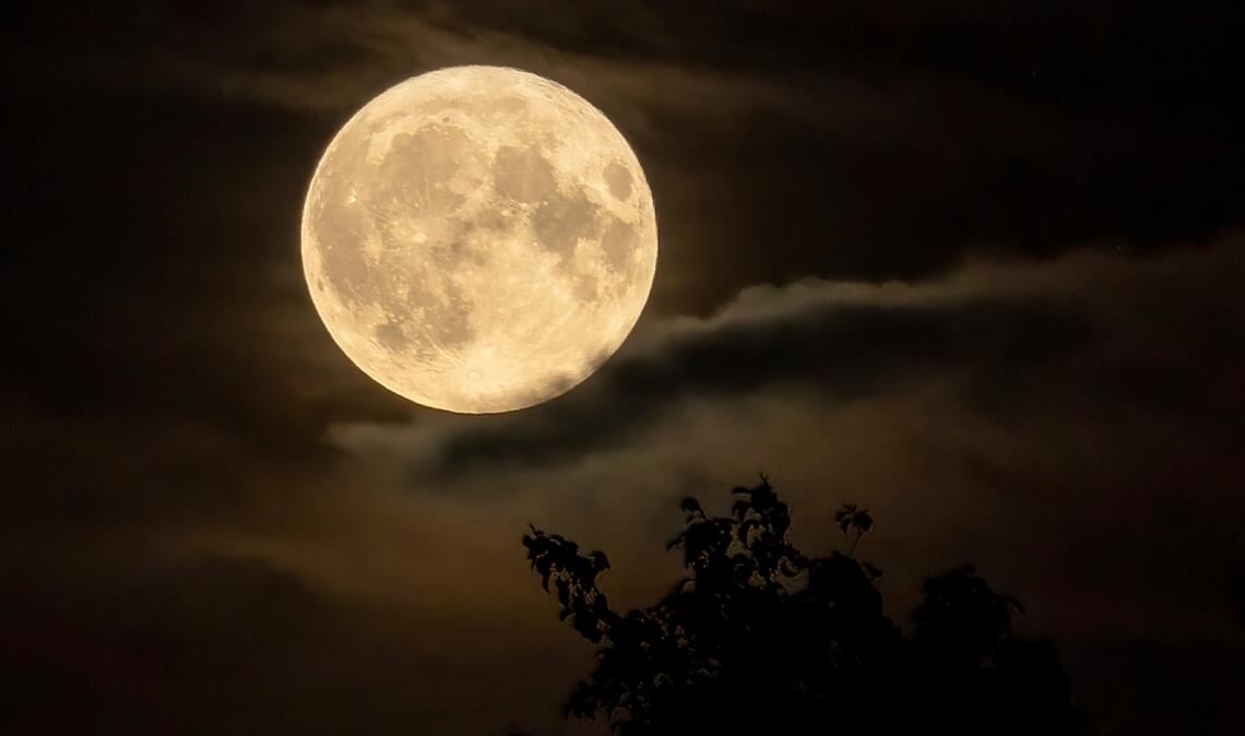 Der November Vollmond ist der erdnächste des Jahres 2025 – ein Supermond. Er wirkt größer als gewöhnlich und leuchtet sehr hell. Zu dieser Zeit sehen Sie ihn am besten.