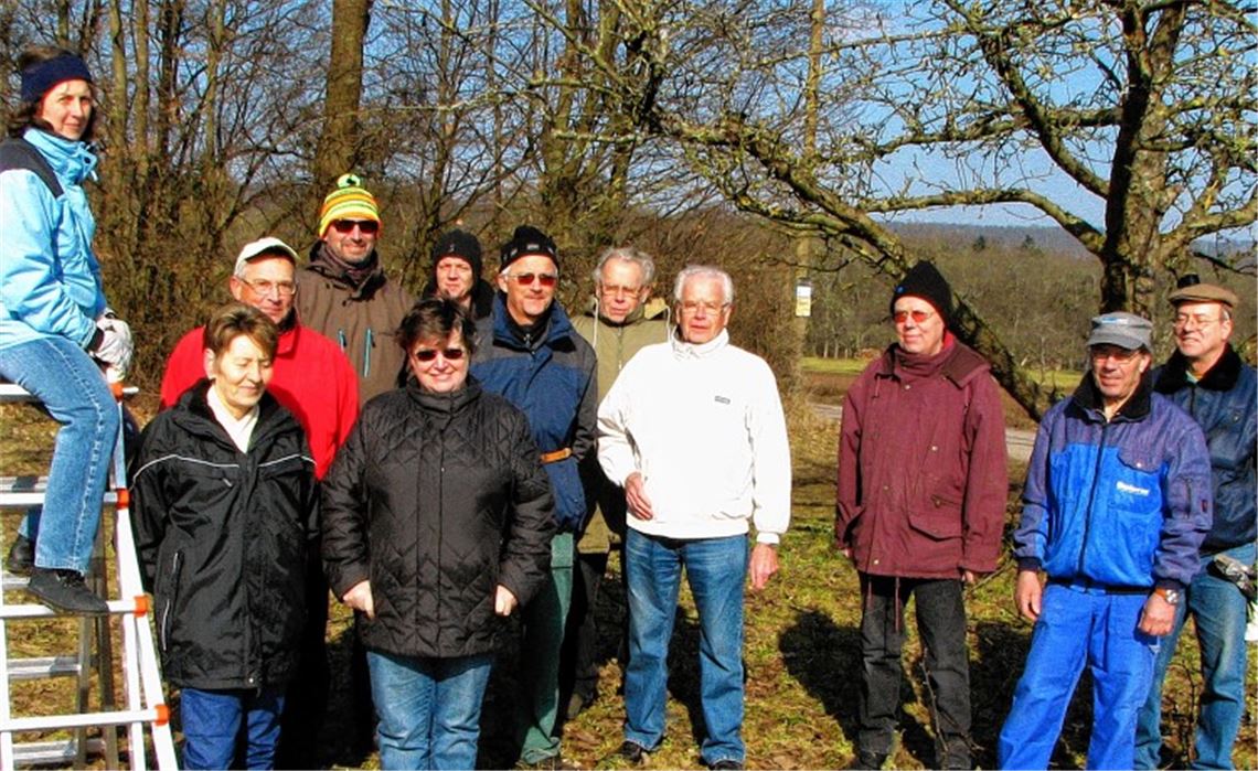 Der OGV Illingen und seine Gäste engagieren sich für die Pflege von Streuobstwiesen.