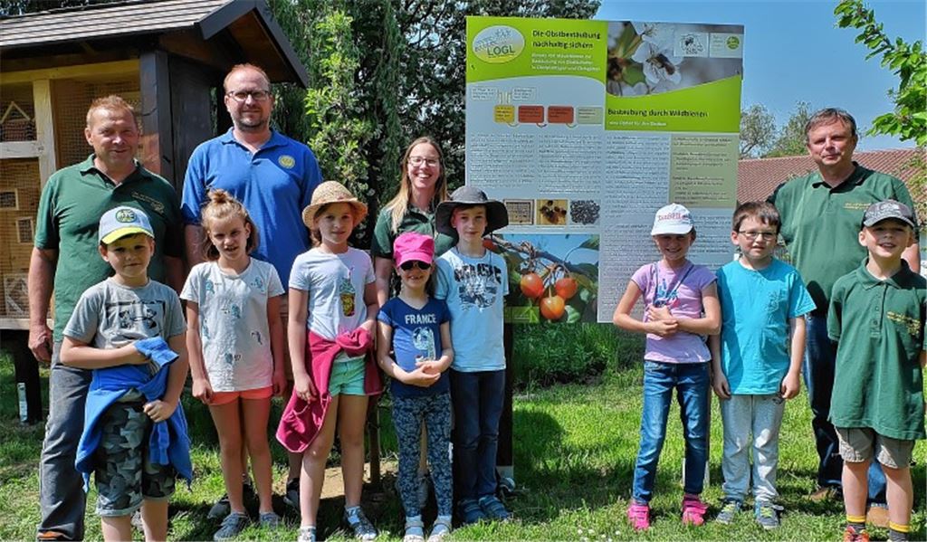 OGV kämpft für bedrohte Wildbienen