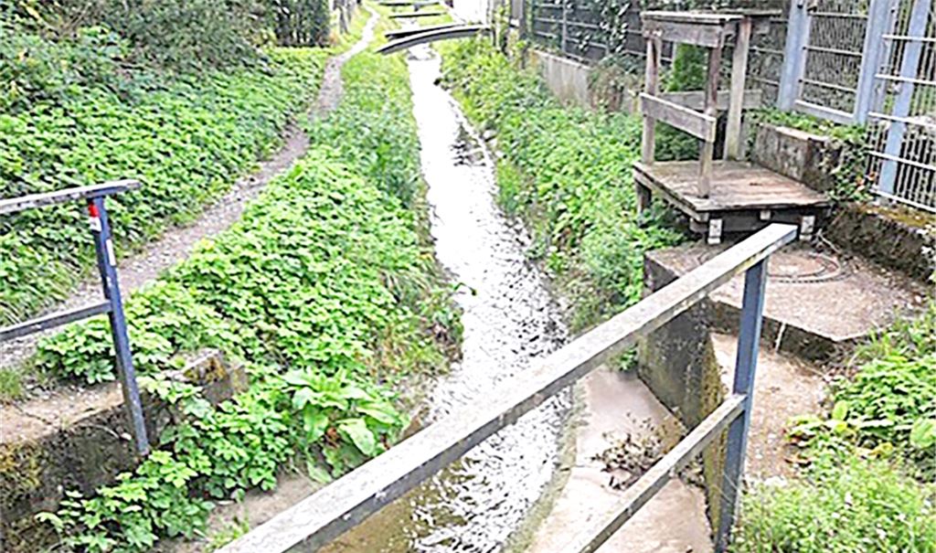 Der Ortsbach soll teilweise ausgebaut werden. Fotos: privat