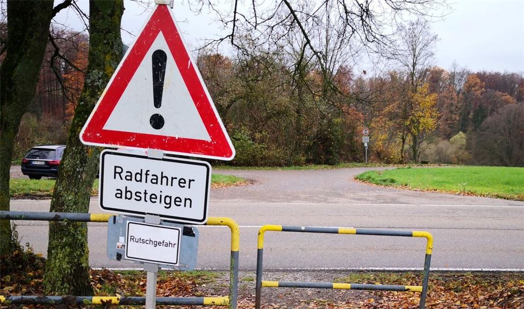 Der Radwege-Übergang an der Landesstraße bei Großglattbach gilt als schwer einsehbar und damit gefährlich. Foto: Archiv