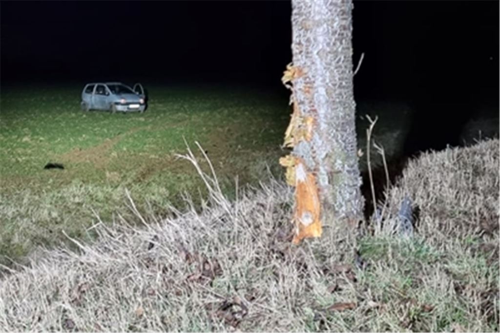Der Renault Twingo bleibt nach dem Aufprall auf den Baum demoliert im Feld liegen. Foto: Myroshnichenko