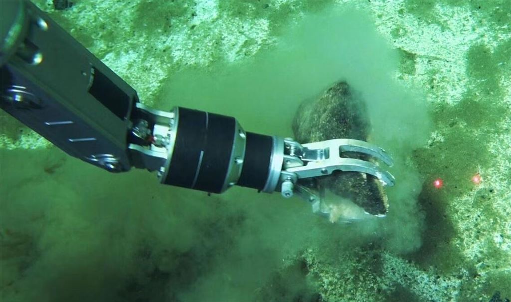 Der Roboterarm eines Tauch-U-Bootes greift nach einem Wal-Fossil: Die Forscher gehen davon aus, dass es weltweit noch viele andere solche Walfriedhöfe gibt. Allein die Fläche des Grabens schätzt es auf 14.400 Quadratkilometer. Hochgerechnet könnten in der Bruchzone mehr als zehn Millionen Walreste liegen.