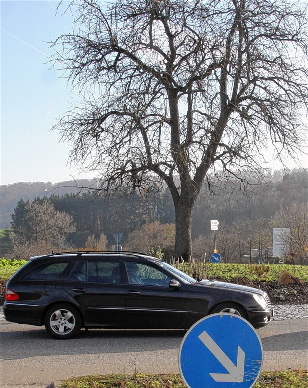 Der SPD-Vorstoß, den Rückbau von festen Einbauten auf Kreisverkehren zu stoppen, wird allgemein positiv aufgenommen, an Schelte für die Genossen mangelt es wegen der späten Reaktion in der Sache trotzdem nicht. Ob der Baum am Lomersheimer Kreisel von der Initiative profitiert, steht noch in den Sternen. 