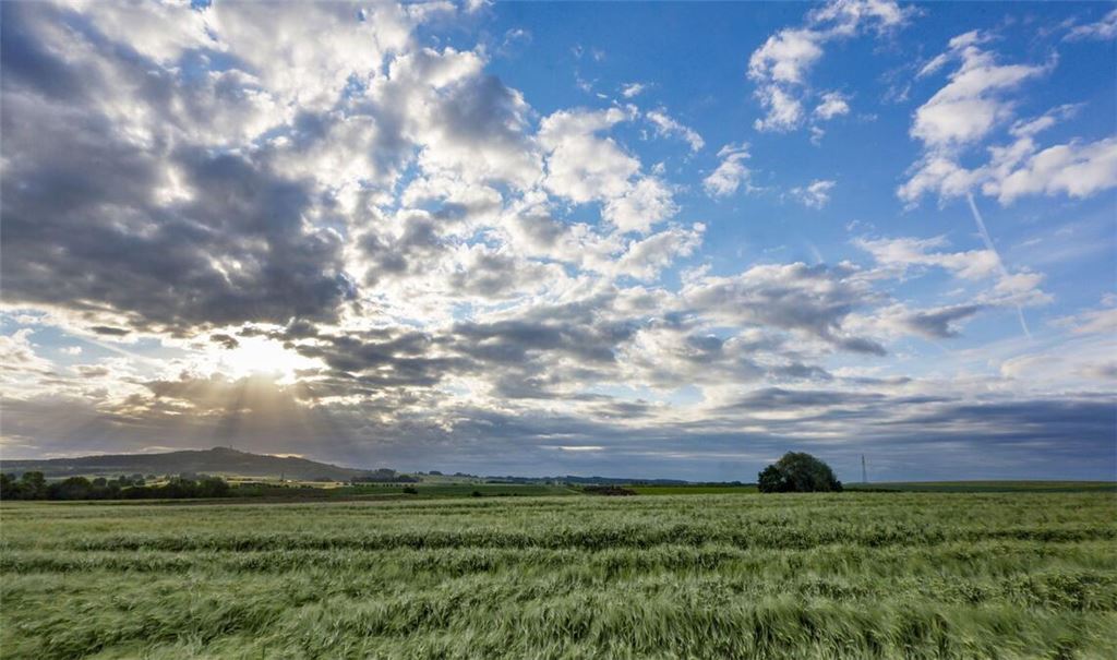 Der Sonntag zeigt sich in Baden-Württemberg von seiner sonnigen Seite.